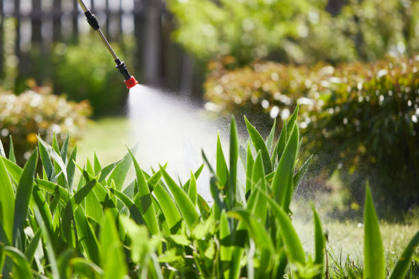 Tamper-Resistant Bait Stations for Rodents in Meadow Oaks