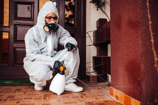 Attic and Crawl Space Rodent Treatment in Meadow Oaks