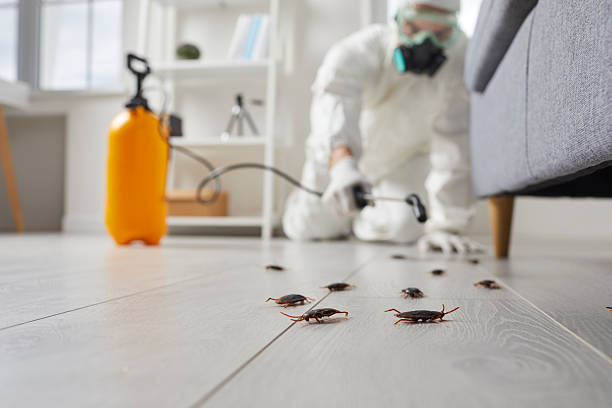Commercial Rodent Management in Meadow Oaks